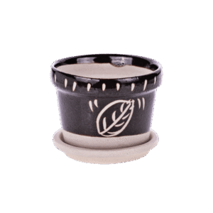 Petite coupelle de plantation